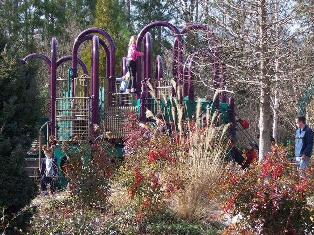 Purple loop structure in winter