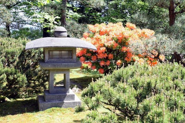 Portland Japanese Garden B