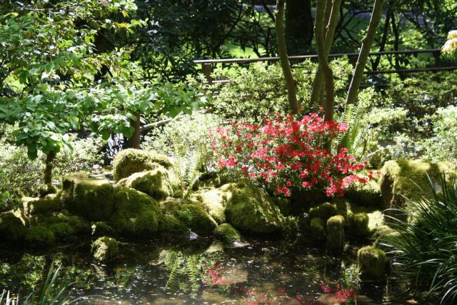 Portland Japanese Garden E