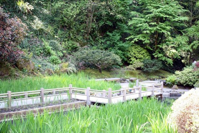 Portland Japanese Garden H