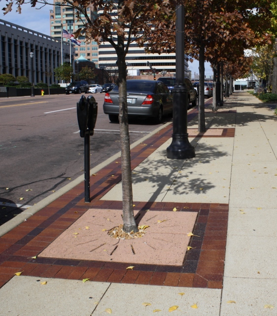Streetscape, Clayton MO
