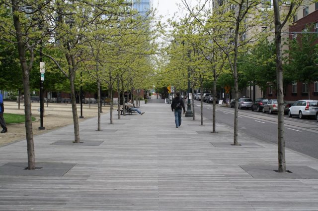 Streetside boardwalk, Portland OR