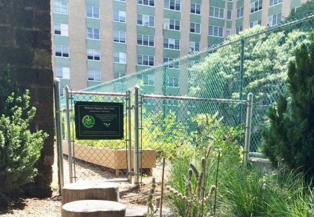 10 - after - garden area