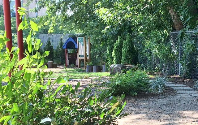 cover - WSDCC playground