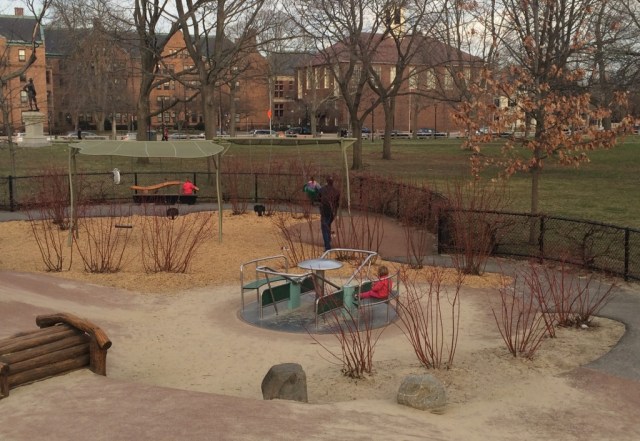 Cambridge Common Playground 3